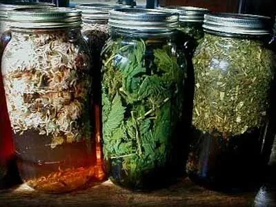 Народні засоби при нецукровому діабеті (діабеті) Народні засоби при нецукровому діабеті