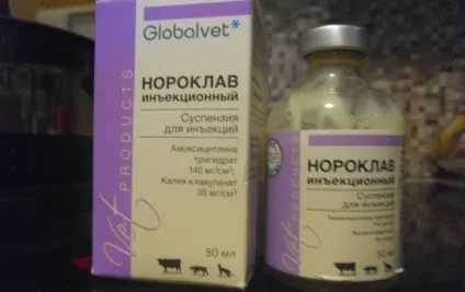 Нороклав для собак (таблетки, суспензія) інструкція із застосування (нороклав) Нороклав для собак (таблетки, суспензія) інструкція із застосування