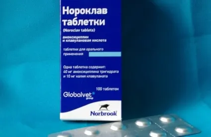 Нороклав для собак (таблетки, суспензія) інструкція із застосування (суспензія) Нороклав для собак (таблетки, суспензія) інструкція із застосування