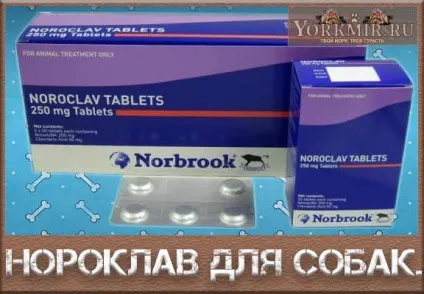 Нороклав для собак, таблетки, інструкція із застосування (таблетки) Нороклав для собак, таблетки, інструкція із застосування