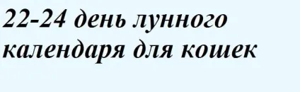 Навчання і виховання кошенят - все про котів і кішок з любов'ю (навчання) Навчання і виховання кошенят - все про котів і кішок з любов'ю