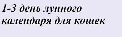 Навчання і виховання кошенят - все про котів і кішок з любов'ю (як виховувати кошенят) Навчання і виховання кошенят - все про котів і кішок з любов'ю