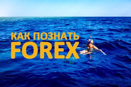 Навчання форекс, що таке біржа forex (біржа) Навчання форекс, що таке біржа forex