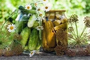 Огірки солоні з горілкою - рецепти кулінарії (горілкою) Огірки солоні з горілкою - рецепти кулінарії