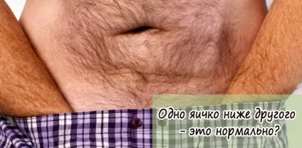Одне яєчко нижче іншого - це нормально