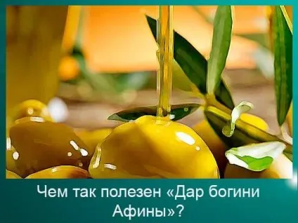 Оливкова олія користь і шкода як приймати дар від богині Афіни, 45 кавунів (приймати) Оливкова олія користь і шкода як приймати дар від богині Афіни, 45 кавунів