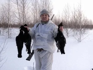 Опис полювання на тетерева взимку з підходу (коли полюють на тетерева) Опис полювання на тетерева взимку з підходу