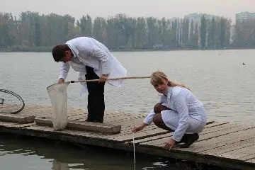 Основні екологічні проблеми Житомира (Краснодара) Основні екологічні проблеми Житомира