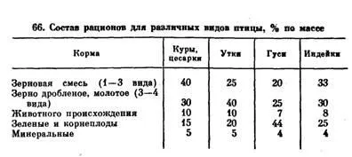 Визначення статі у птахів