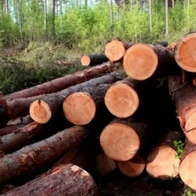 Осиповичі - мінськ розклад електричок і поїздів (розклад) Осиповичі - мінськ розклад електричок і поїздів