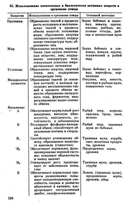 Визначення статі у птахів