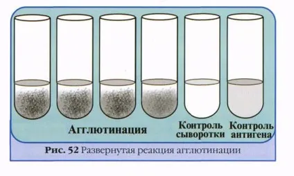 Основні функції антитіл