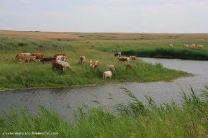 Оренбуржскіе степи і сіль-Ілецк, life on photo (репортаж) Оренбуржскіе степи і сіль-Ілецк, life on photo