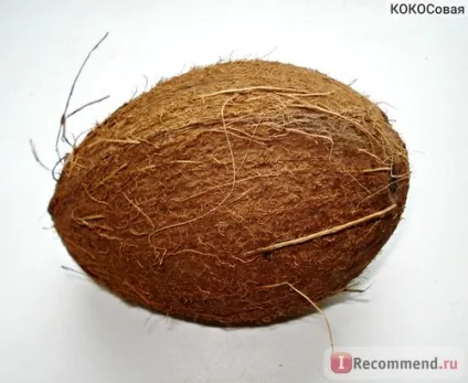 Горіхи кокос - «улюблений чудо-горішок! Купили кокос і не знайте, що ж з ним робити! Обробляє (знайте) Горіхи кокос - «улюблений чудо-горішок! Купили кокос і не знайте, що ж з ним робити! Обробляє