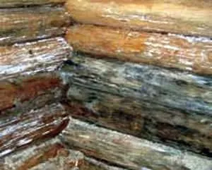 Відбілювання деревини коли, як, вибір засобу, способи, технологія, порядок робіт (кошти) Відбілювання деревини коли, як, вибір засобу, способи, технологія, порядок робіт