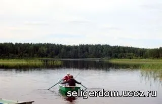 Від чого залежить вдалий відпочинок на Селігері бронювання через інтернет від і замовлення путівок від турфірми (вдалий) Від чого залежить вдалий відпочинок на Селігері бронювання через інтернет від і замовлення путівок від турфірми
