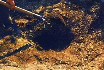 Особливості посадки ялини - поради від greensad (greensad) Особливості посадки ялини - поради від greensad