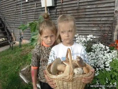 Від чого залежить вдалий відпочинок на Селігері бронювання через інтернет від і замовлення путівок від турфірми (відпочинок) Від чого залежить вдалий відпочинок на Селігері бронювання через інтернет від і замовлення путівок від турфірми