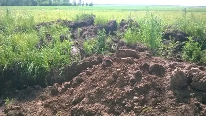 Звіт про діяльність лабораторії хіміко-токсикологічних досліджень за 2012 рік, нижегородський (звіт) Звіт про діяльність лабораторії хіміко-токсикологічних досліджень за 2012 рік, нижегородський