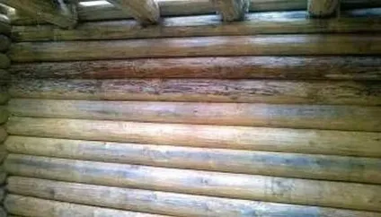 Відбілювання деревини коли, як, вибір засобу, способи, технологія, порядок робіт (робіт) Відбілювання деревини коли, як, вибір засобу, способи, технологія, порядок робіт