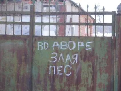Чому ми робимо дурниці