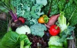 Овочі, які простіше виростити, ніж купити (виростити) Овочі, які простіше виростити, ніж купити