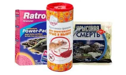 Отрута для щурів кращі продукти і поради по використанню (отрута) Отрута для щурів кращі продукти і поради по використанню