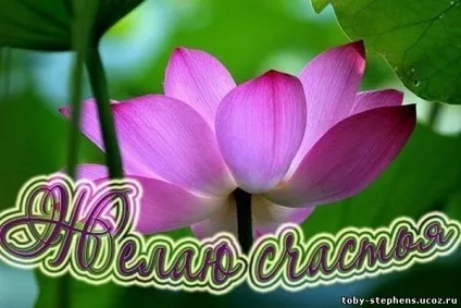 Про те, як я змогла зрозуміти, як сильно я хочу стати мамою - запис користувача настя (id1193823) в (зачаття) Про те, як я змогла зрозуміти, як сильно я хочу стати мамою - запис користувача настя (id1193823) в