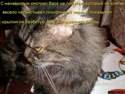 Овочеве рагу з баклажанами (овочеве рагу з баклажанами) Овочеве рагу з баклажанами
