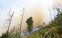 Парад перемоги на червоній площі в Москві розклад і де дивитися (перемоги) Парад перемоги на червоній площі в Москві розклад і де дивитися