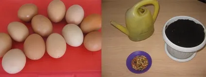 Великоднє дерево своїми руками