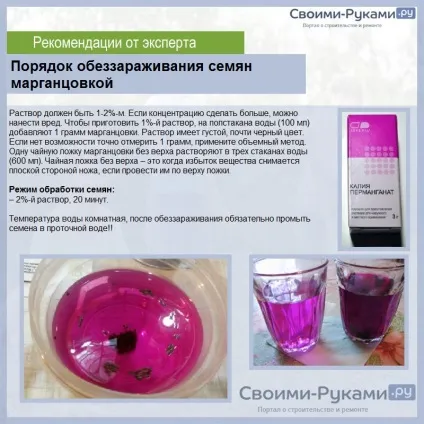 Перець каліфорнійське диво вирощування самостійно з насіння - найкращий метод! (Самостійно) Перець каліфорнійське диво вирощування самостійно з насіння - найкращий метод!