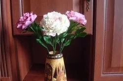 Півонії фен шуй - основні значення (основні) Півонії фен шуй - основні значення