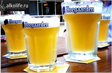 Пиво Хугарден (hoegaarden) види і рецепт приготування (Хугарден) Пиво Хугарден (hoegaarden) види і рецепт приготування