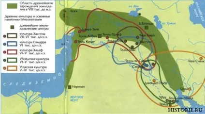 Первісна людина і становлення первісного суспільства