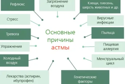 Персистирующее легкий перебіг бронхіальної астми атопічний форми (легке) Персистирующее легкий перебіг бронхіальної астми атопічний форми