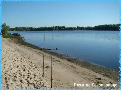 Перспективні місця лову на дніпрі