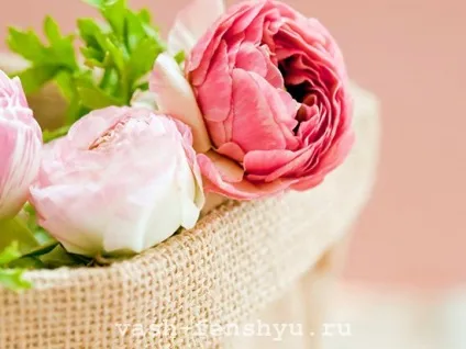 Півонії фен-шуй - красиві символи кохання (півонії фен-шуй) Півонії фен-шуй - красиві символи кохання