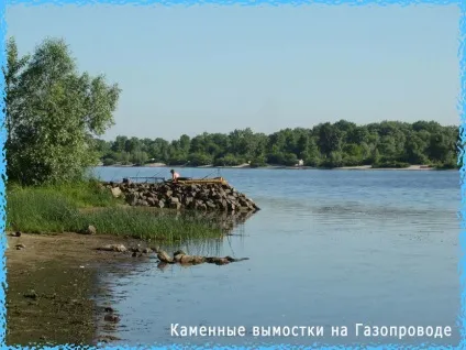 Перспективні місця лову на дніпрі