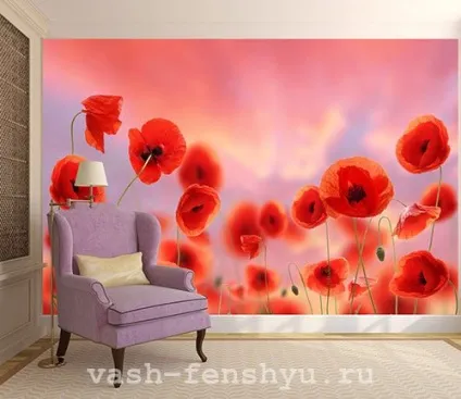 Півонії фен-шуй - красиві символи кохання (півонії) Півонії фен-шуй - красиві символи кохання