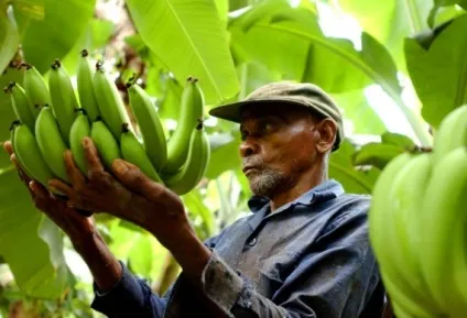 Що таке fairtrade справедлива торгівля
