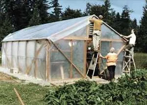 Плівкова теплиця своїми руками просто і вигідно, ясадовод (армована плівка теплиць) Плівкова теплиця своїми руками просто і вигідно, ясадовод