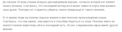 Чому перед своєю смертю коти йдуть з дому (йдуть) Чому перед своєю смертю коти йдуть з дому
