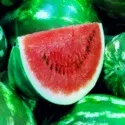 Чому яблуко темніє чому розрізане яблуко змінює колір, продукти харчування! (Чому яблуко темніє) Чому яблуко темніє чому розрізане яблуко змінює колір, продукти харчування!