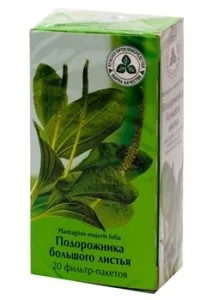 Подорожник при безплідді для чоловіків і жінок (жінок) Подорожник при безплідді для чоловіків і жінок