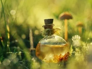 Подорожник при безплідді для чоловіків і жінок (безплідді) Подорожник при безплідді для чоловіків і жінок