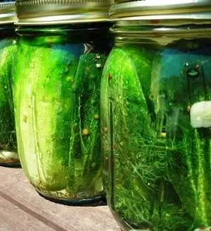 Чому вибухають мариновані огірки (вибухають) Чому вибухають мариновані огірки