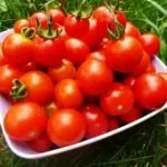 Помідори на підвіконні - вирощуємо культуру цілий рік (помідори) Помідори на підвіконні - вирощуємо культуру цілий рік