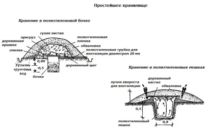Льох своїми руками, будинок і сад (будівництво та ремонт) Льох своїми руками, будинок і сад