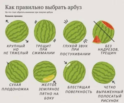 Користь і шкода кавуна